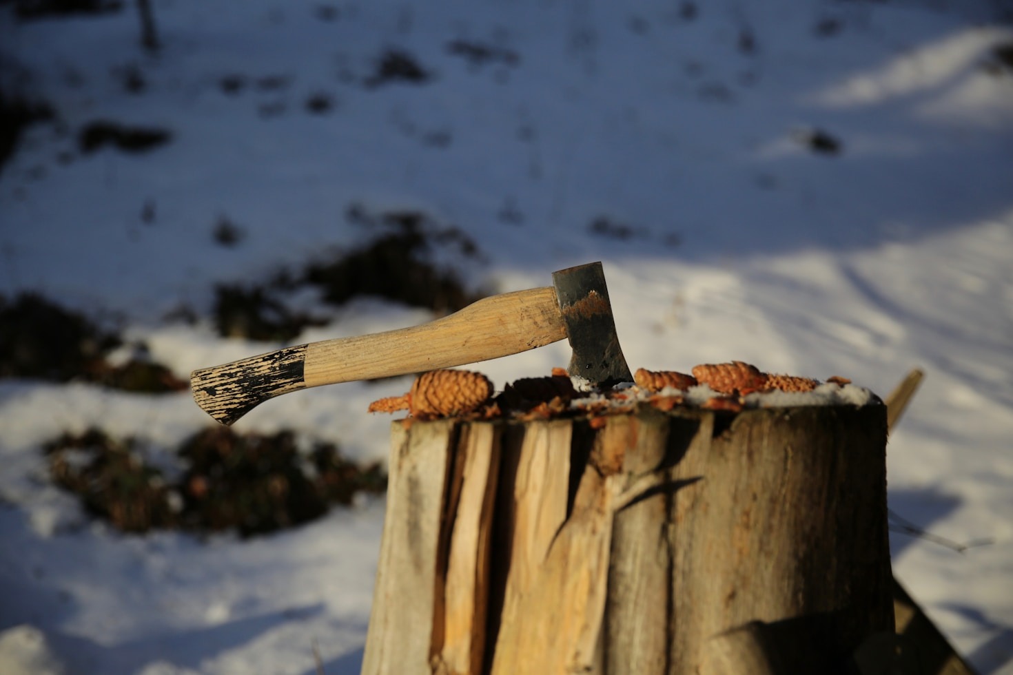 10 Must-Read Books for Off-Grid Enthusiasts