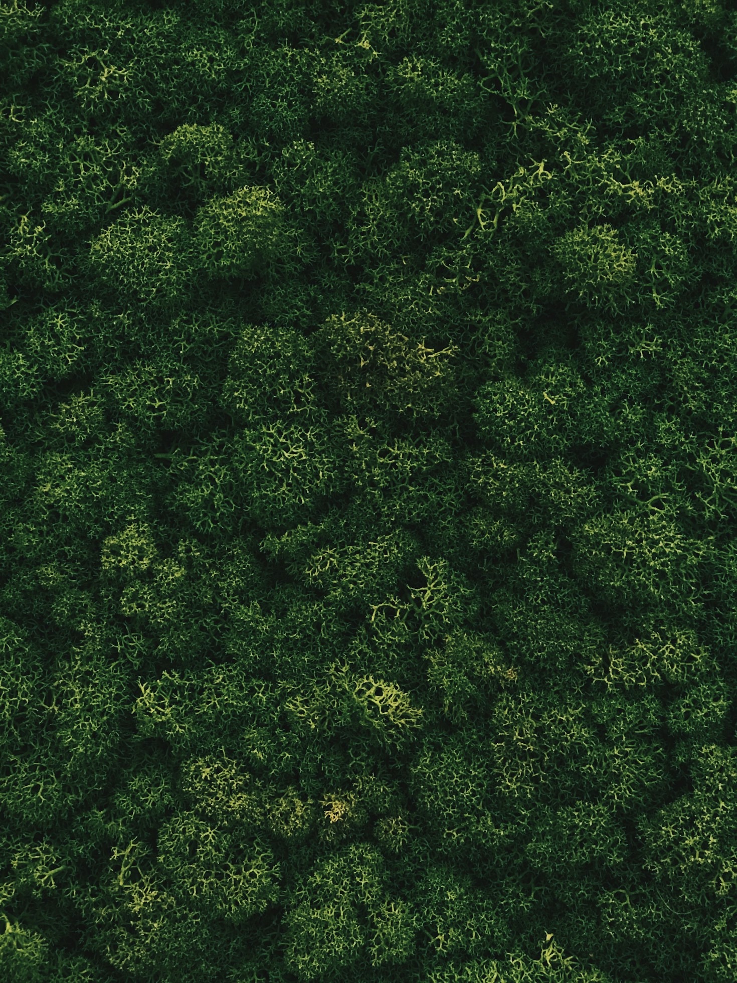 How to Start Your Off-Grid Journey Successfully