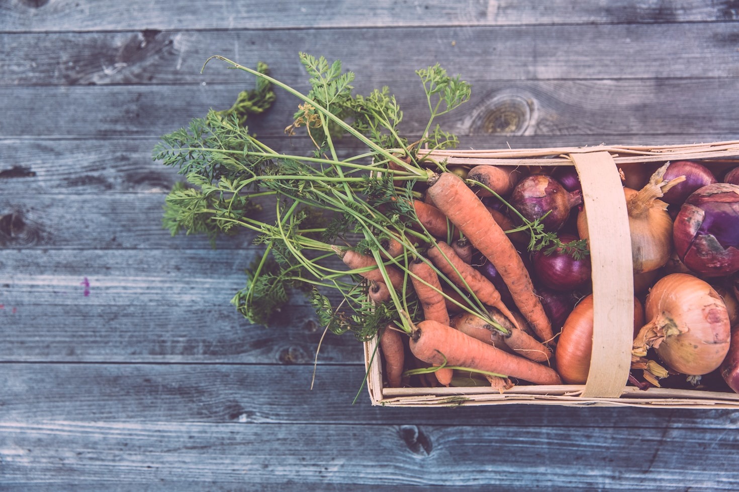 The Ultimate Guide to Off-Grid Food Production
