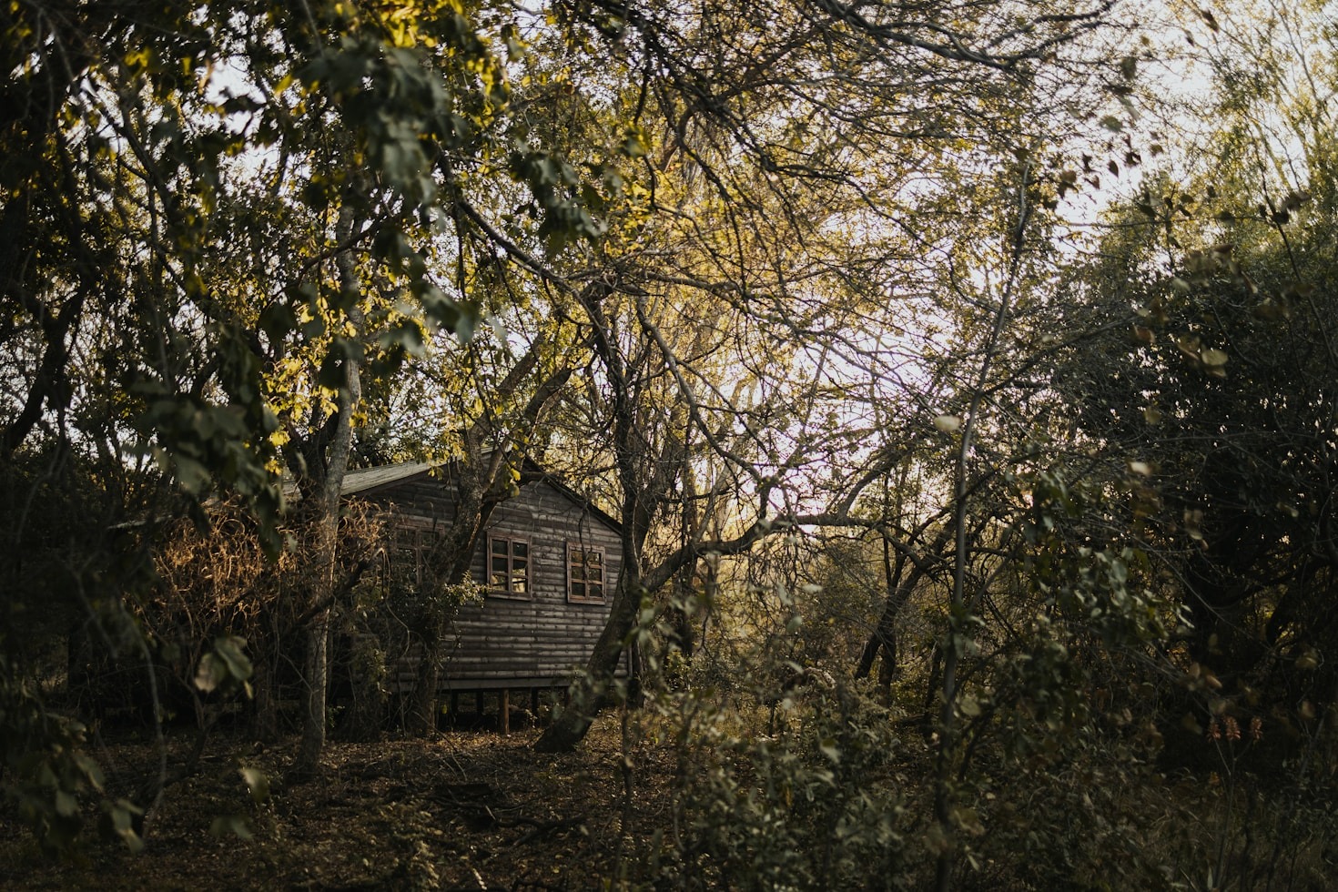 Why More People Are Choosing Off-Grid Living