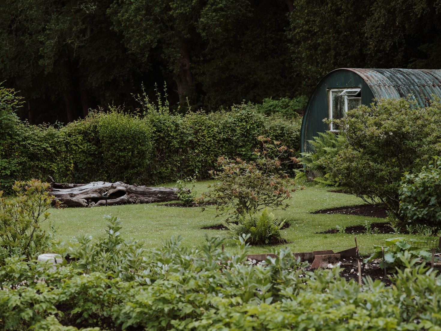 Simplifying Life: Benefits of Going Off-Grid