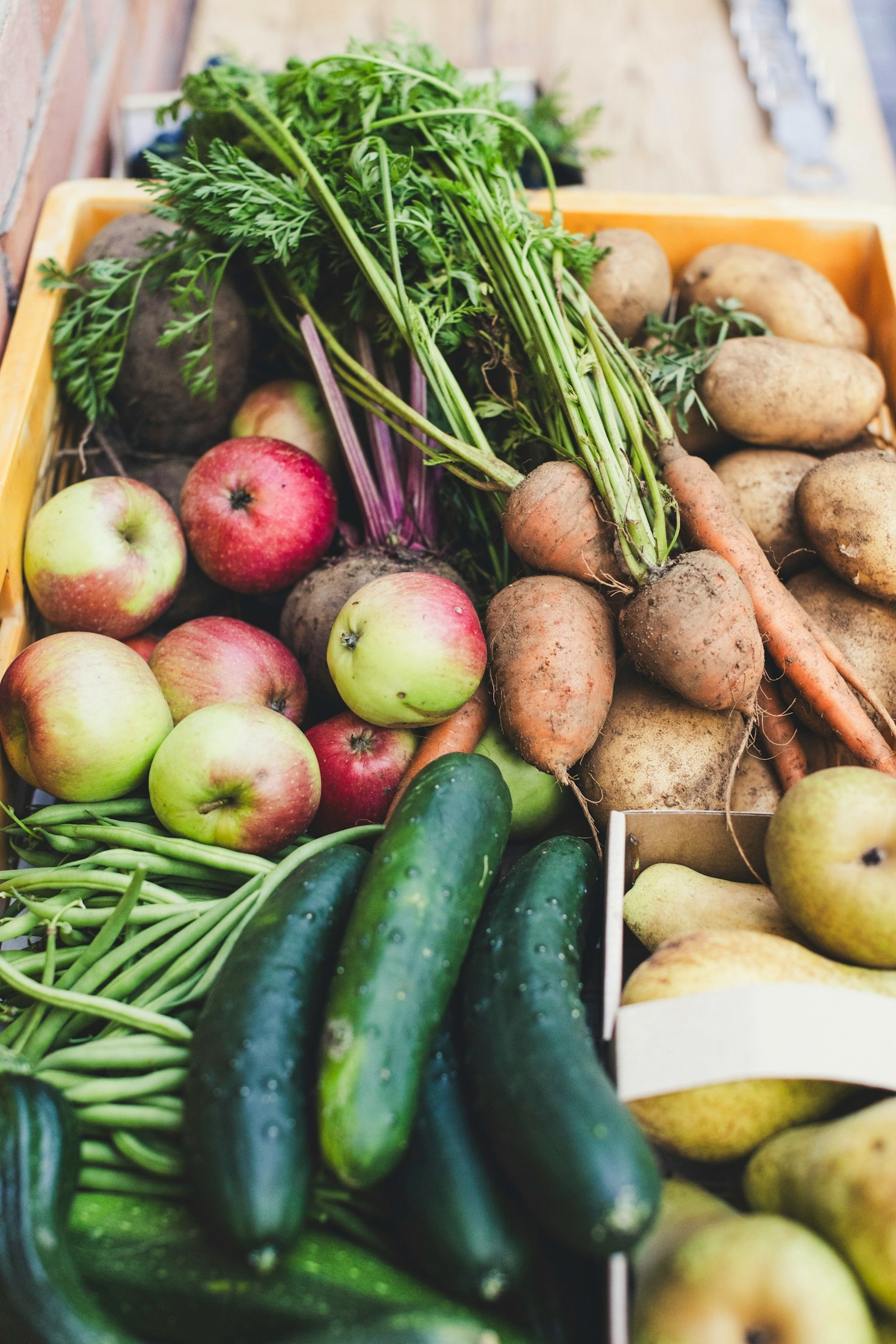 Creating a Self-Sufficient Lifestyle from Scratch